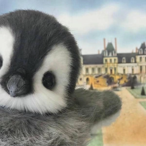 avatar cánh cụt siêu cute, phù hợp mọi phong cách