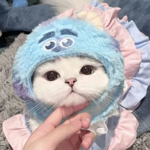 Làm mới hồ sơ với avatar cực ngầu siêu chất