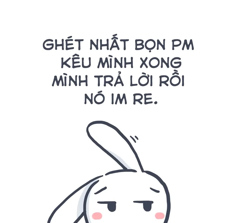 Biểu cảm chất lừ của đầu gấu thỏ snowball meme