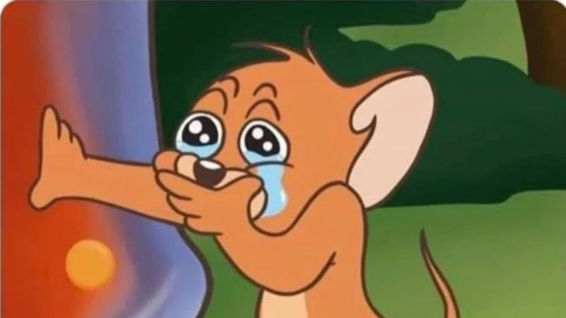 Những biểu cảm buồn cười của jerry cry meme, càng xem càng thích