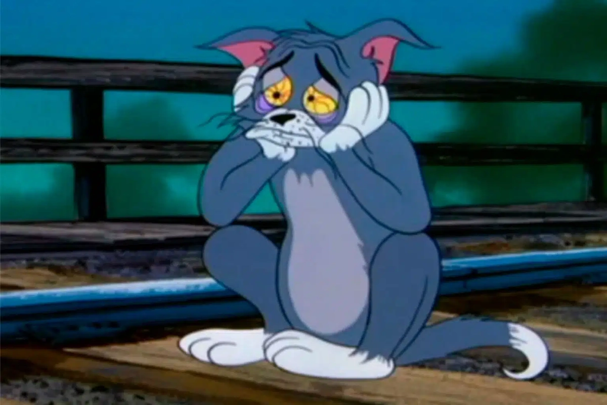 Những tràng cười sảng khoái từ meme tom cười, siêu hài