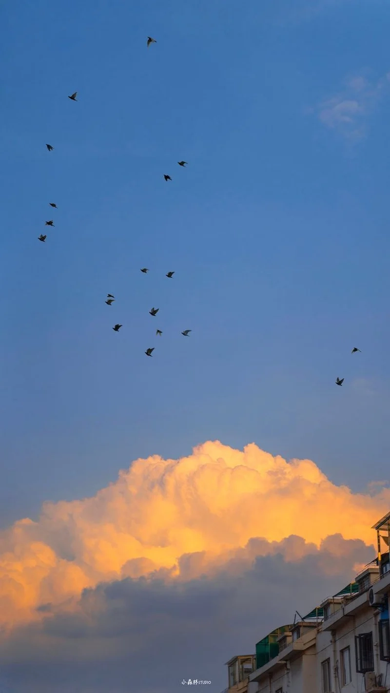 Tận hưởng khoảnh khắc trong trẻo cùng avatar ảnh bầu trời cute