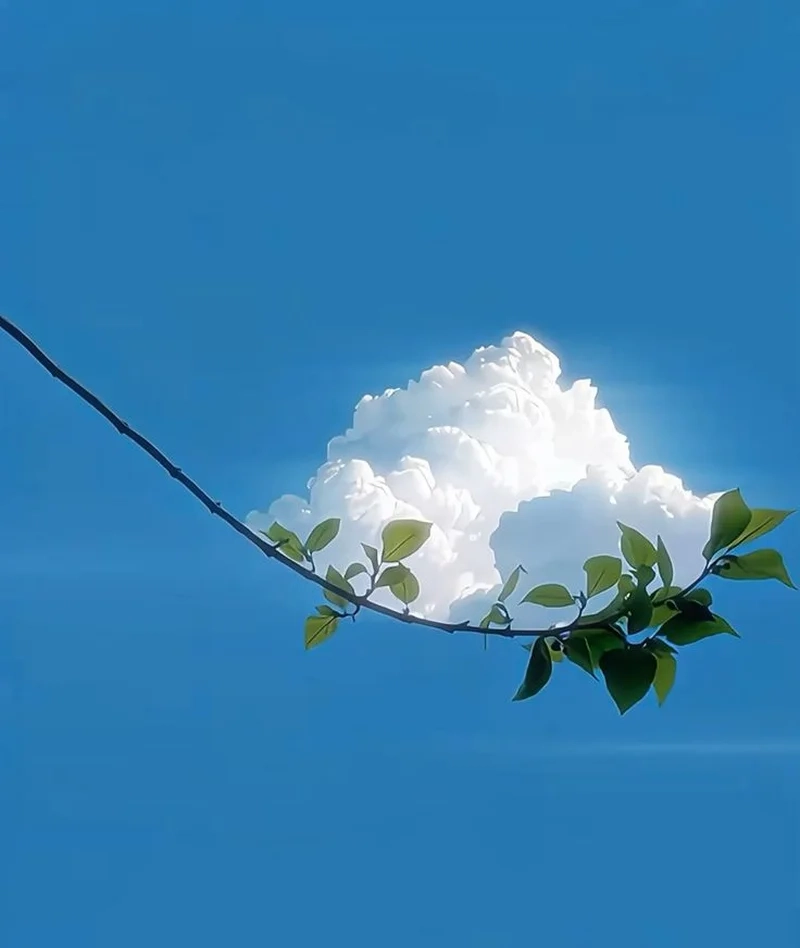 Không gian thêm mơ mộng nhờ ảnh avatar bầu trời đẹp