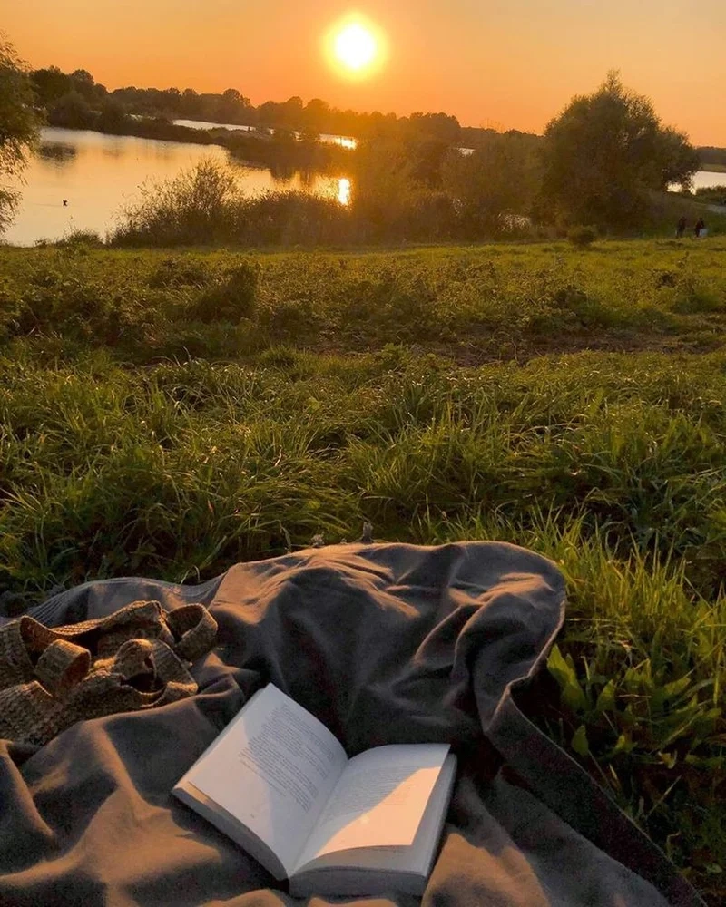 Chọn avatar đẹp chill để tạo nét cá tính riêng