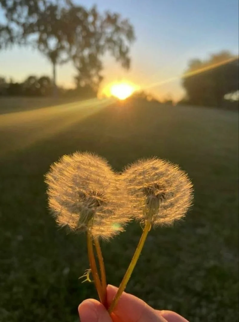 Khám phá không gian thư thái qua avatar chill chill