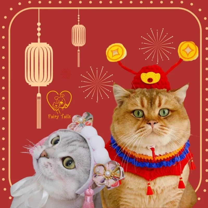 Mèo vui xuân với avatar mèo vô tri tết