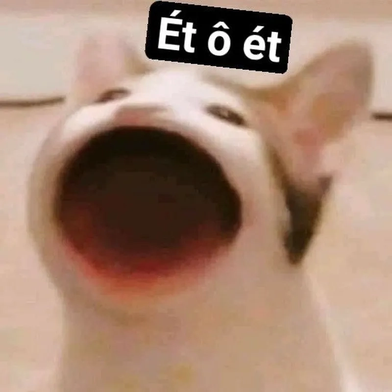 Kêu cứu hài hước qua meme ét o ét (SOS)