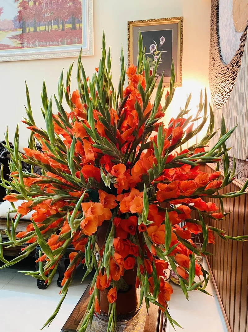 Cảm nhận năng lượng tích cực từ hoa lay ơn màu đỏ