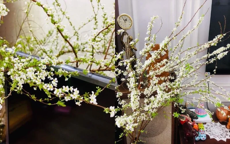 Ngắm nhìn hình ảnh lọ hoa tuyết mai trang trí bàn tiệc