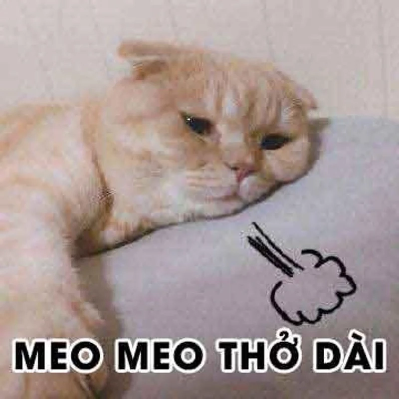 Thở dài cho qua mọi chuyện là meme thở dài