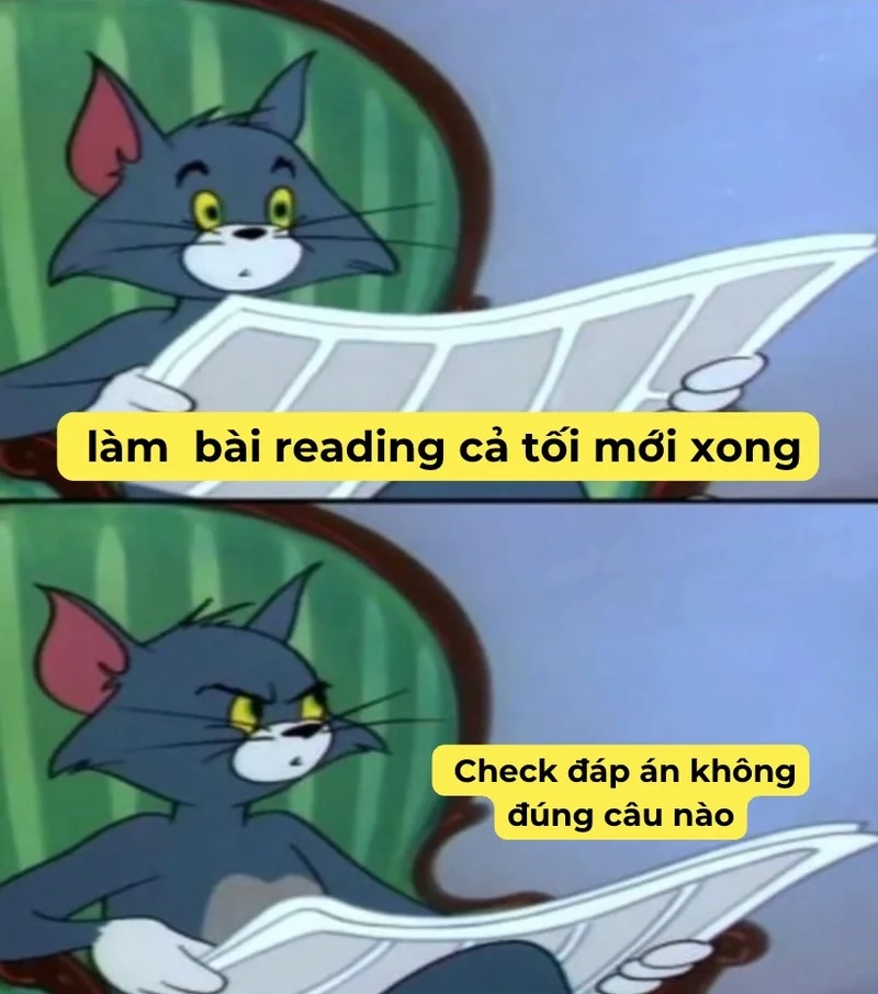 Khám phá tiếng Anh vui nhộn qua meme học tiếng Anh