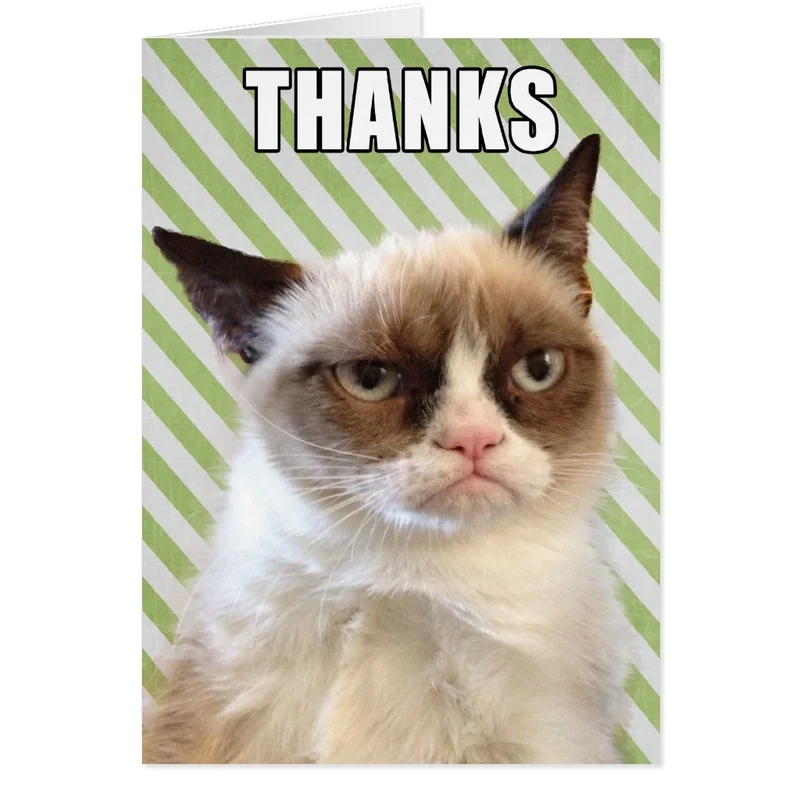 Khám phá dễ thương cùng meme con mèo cảm ơn