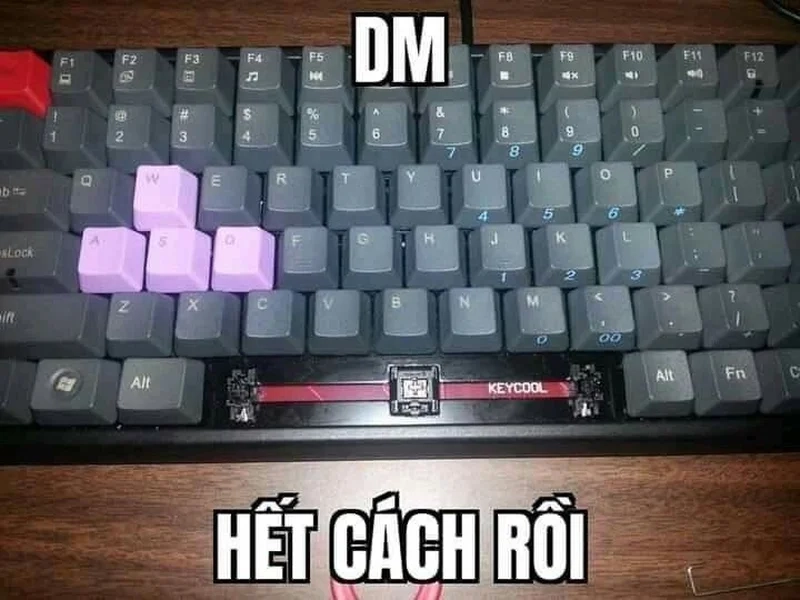 Loạt hết cách meme khiến ai cũng gục ngã