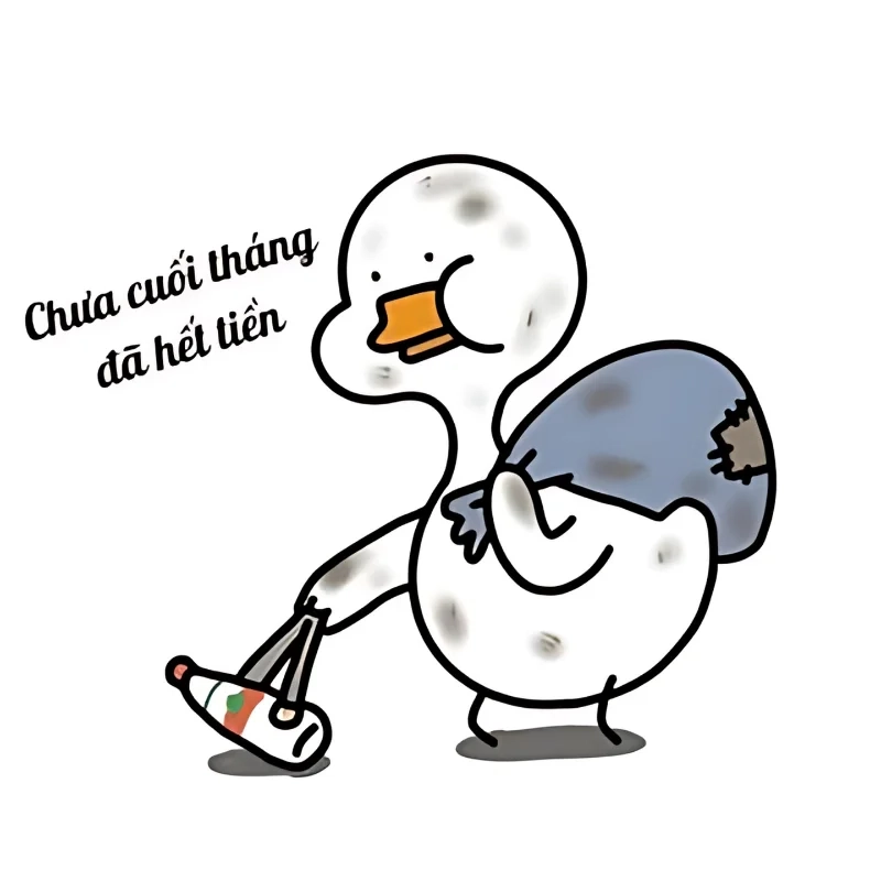 Không biết chi tiêu gì là meme tiền đâu