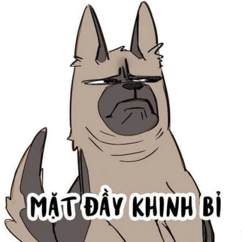 Xem thử thái độ qua meme nhìn bằng nửa con mắt