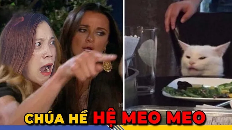 Cô gái hét vào mèo khiến tôi meme woman yelling at a cat