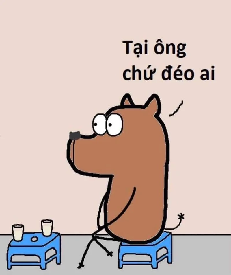 Tham gia group meme để cười thả ga mỗi ngày