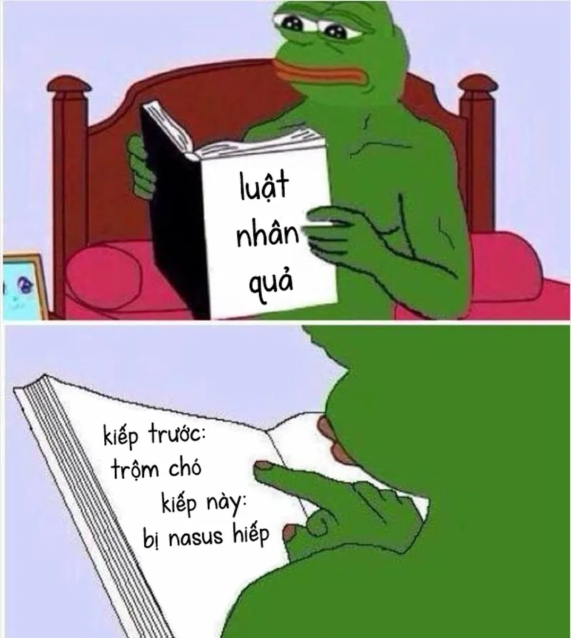 Hiểu nhân quả qua meme về nhân quả