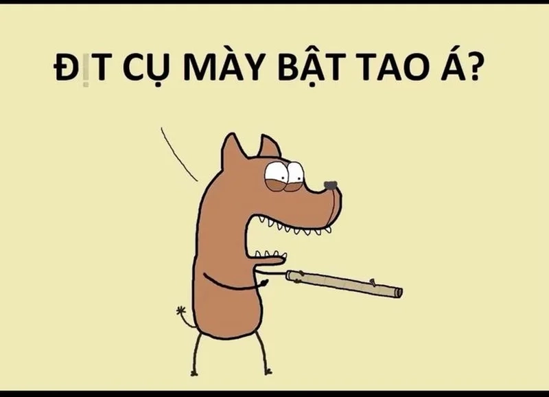 Cười nghiêng ngả cùng meme cục súc hài hước