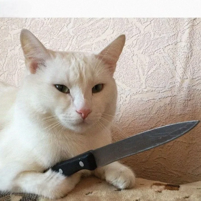 Hài hước mọi lúc với meme chửi thề bá đạo