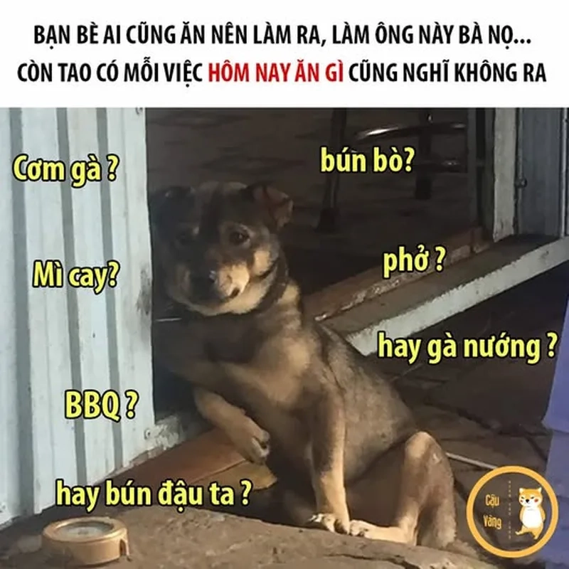 Không biết ăn gì hôm nay nhờ meme