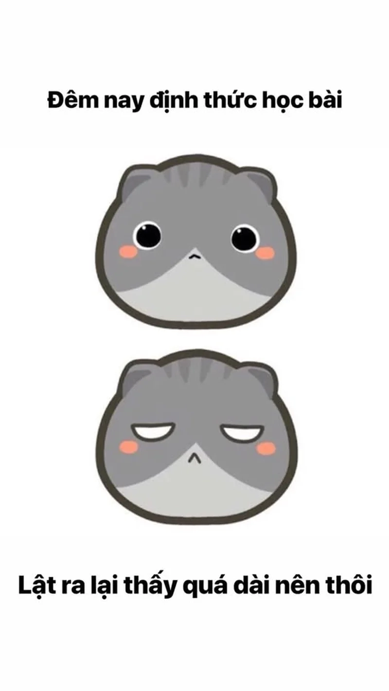 Học thì để sau cùng với meme lười học