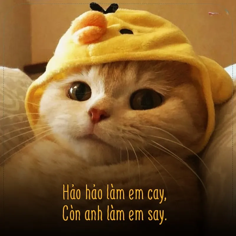 Nhìn crush cười vui nhộn nhờ meme cho crush