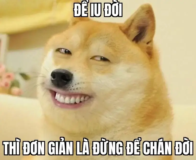 Cười rạng rỡ cùng meme yêu đời