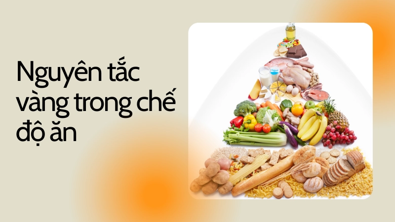 Tháp dinh dưỡng cân đối hỗ trợ quá trình giảm mỡ thừa